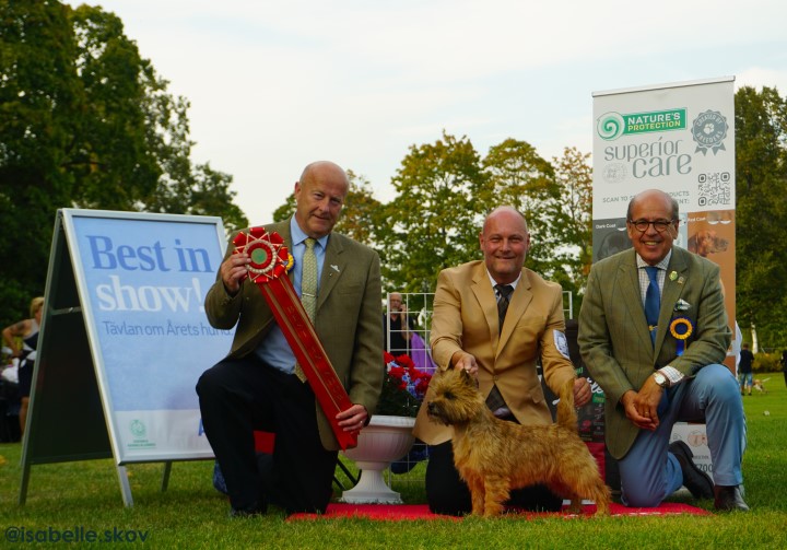 BIS 1 Cairnterrier, foto Isabelle Skov