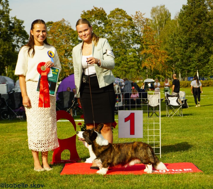 Bästa junior handler söndag, foto Isabelle Skov