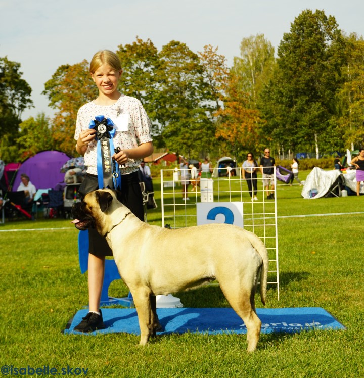 Andra junior handler söndag, foto Isabelle Skov