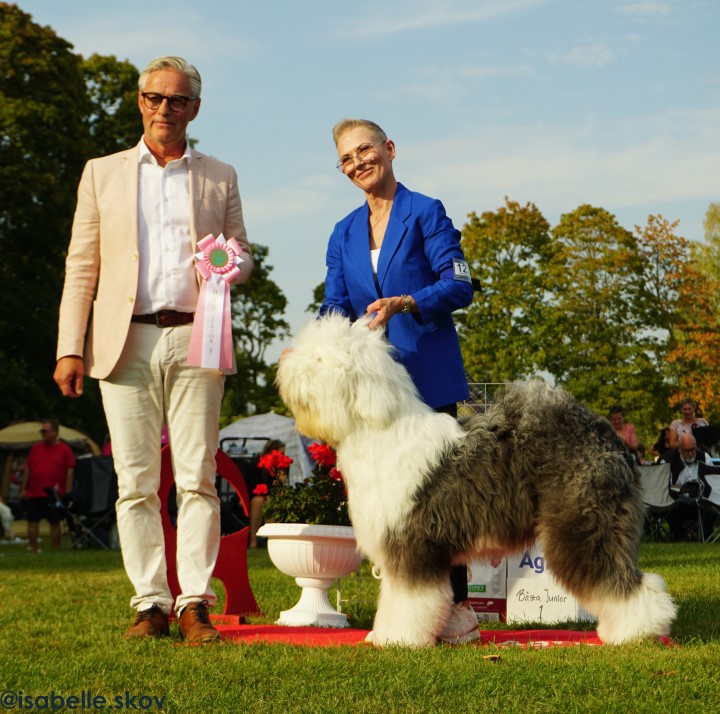 Bästa junior söndag, foto Isabelle Skov