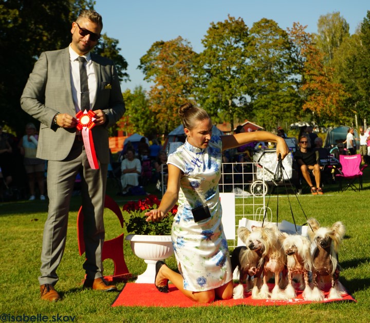 Uppf.grupp lörd, foto Isabelle Skov