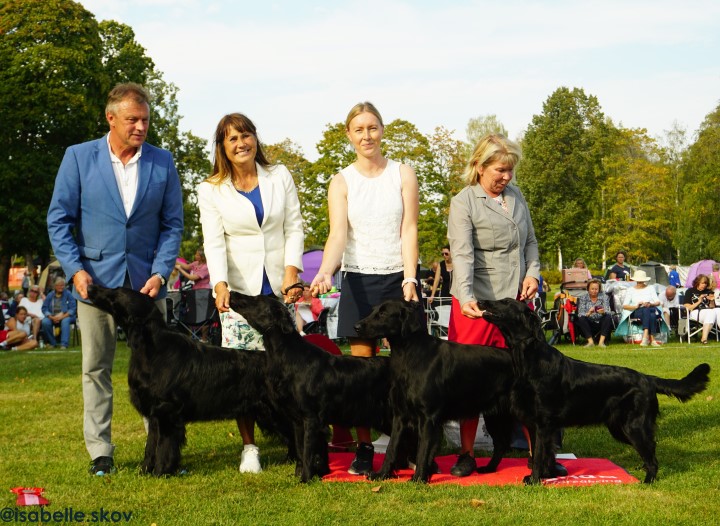 Bästa uppfödargrupp söndag, foto Isabelle Skov