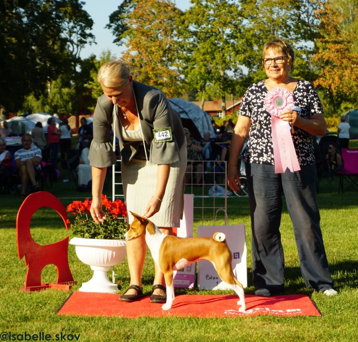 Bästa Valp lördag, foto Isabelle Skov