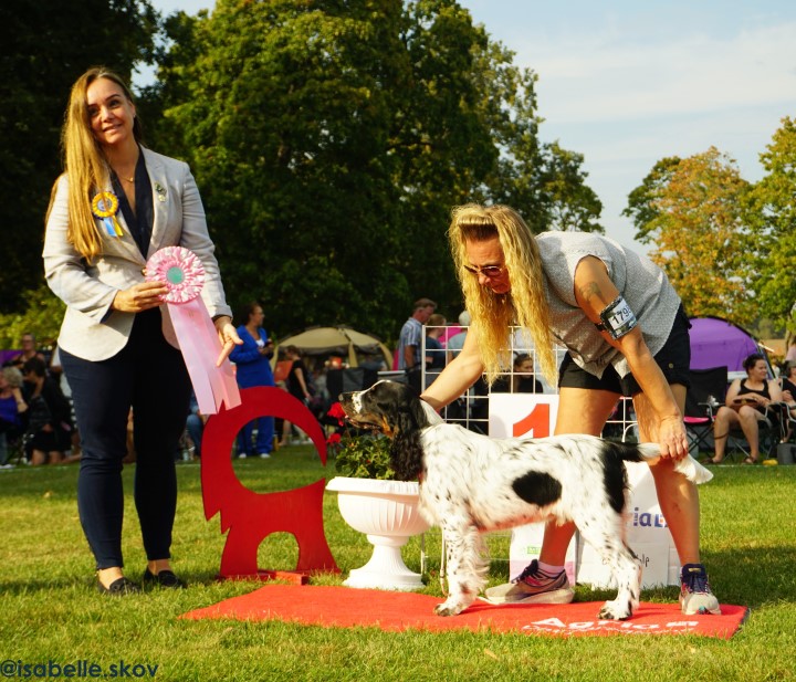 Bästa Valp söndag, foto Isabelle Skov