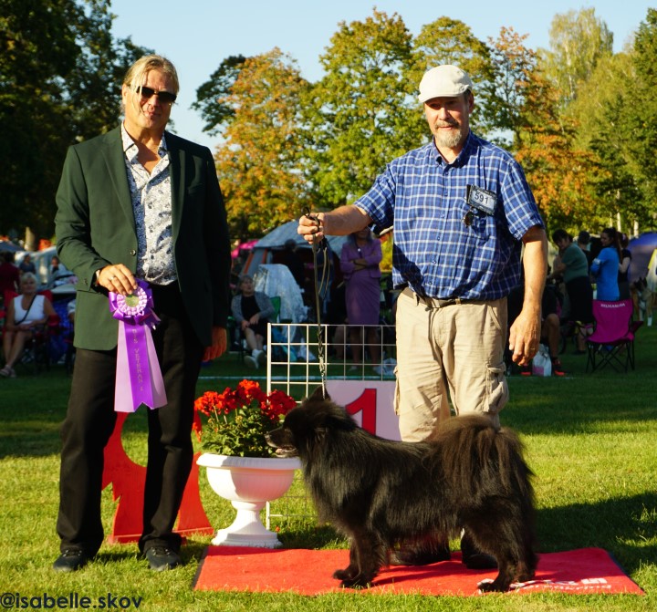 Bäste Veteran lördag, foto Isabelle Skov