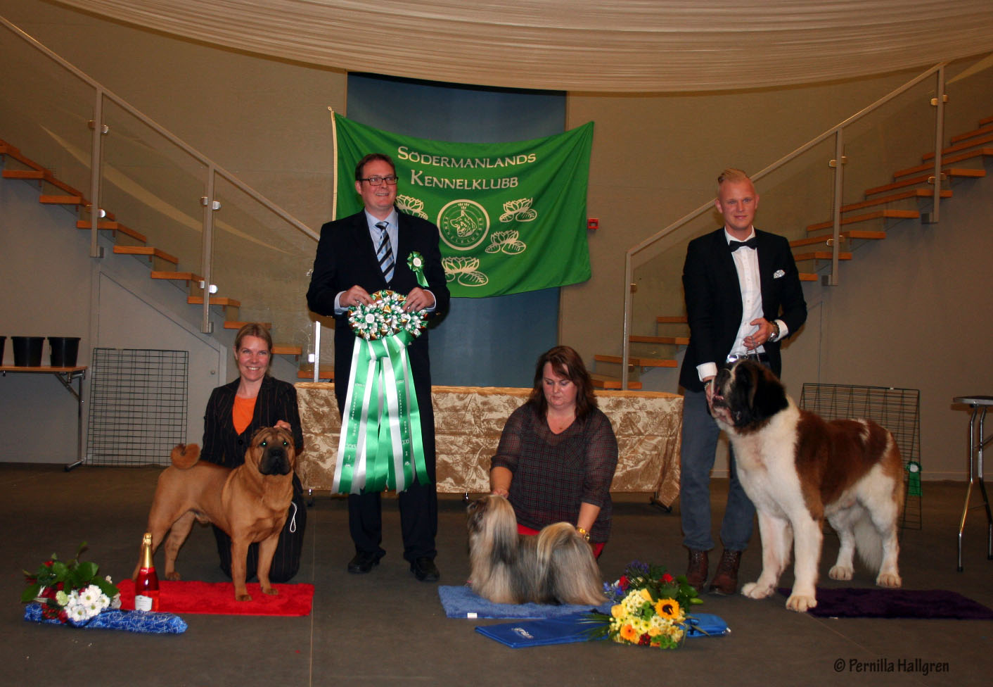 Grattis till er alla! Smiley grinNr 1: Pei Attention Bow-TieÄg: Anna ThorsjöNr 2: Yangadoo's Vera WangÄg: Pernilla HallgrenNr 3: Farm of Charm's MistralÄg: Catarina Vannfält