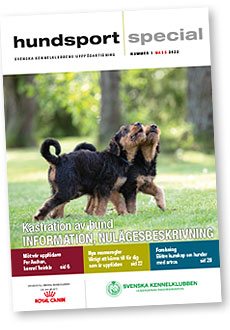 Hundsport Special omslag