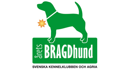 Årets Bragdhund