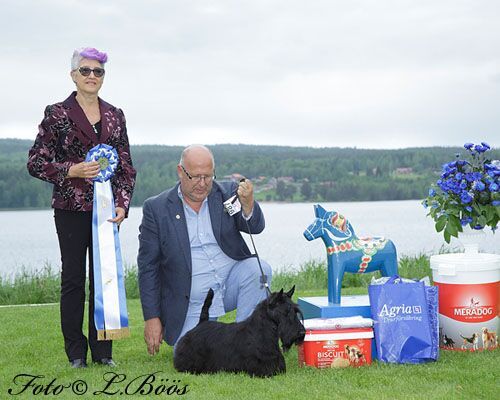 BIS 2 Leksand 2017, foto Lillemor Böös