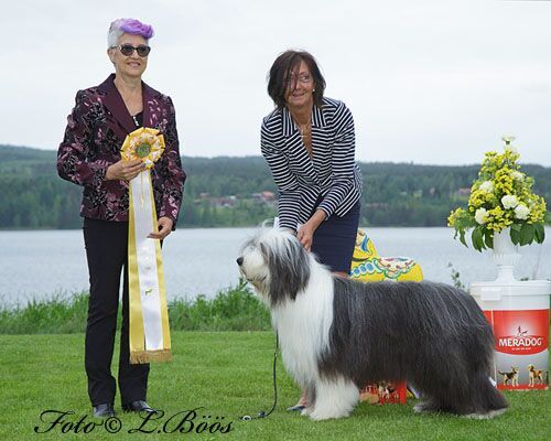 BIS 3 Leksand 2017, foto Lillemor Böös