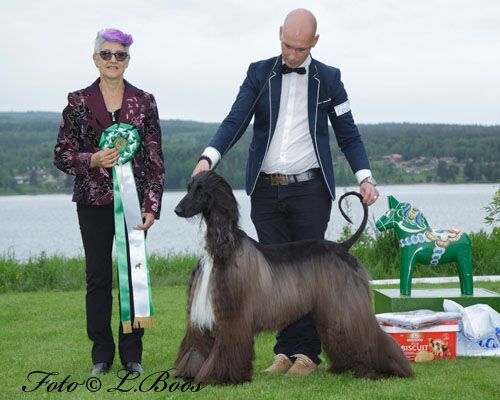 BIS 4 Leksand 2017, foto Lillemor Böös